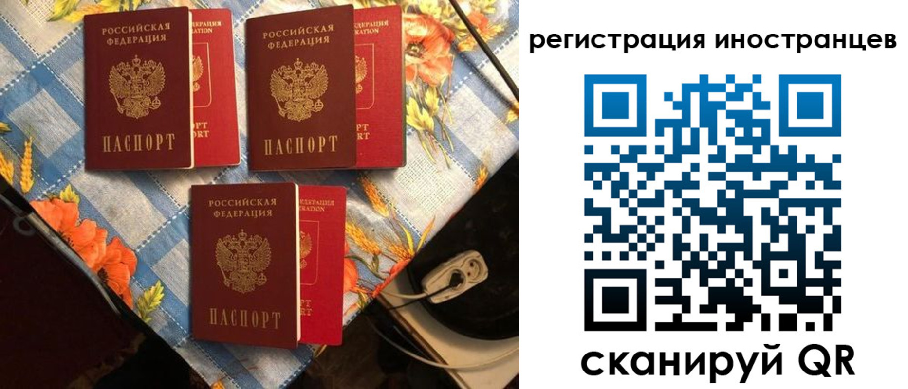прописка поиск в Волгоградской области